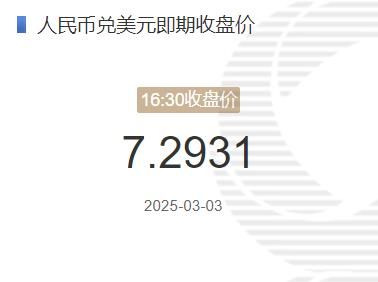 3月3日人民币兑美元即期收盘价报7.2931 较上一交易日下调93个基点(2025年03月03日)